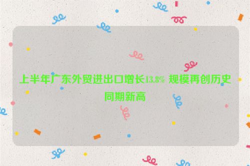 上半年广东外贸进出口增长13.8% 规模再创历史同期新高