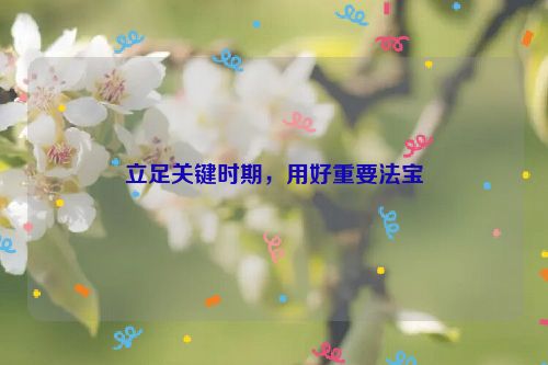 立足关键时期，用好重要法宝
