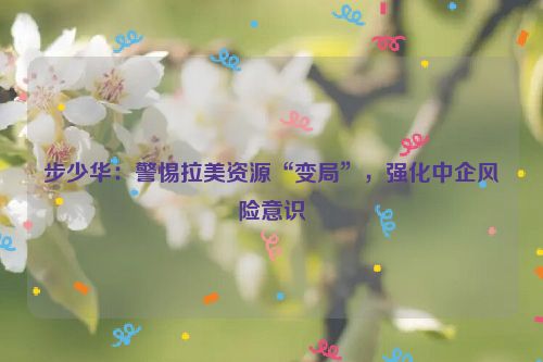 步少华：警惕拉美资源“变局”，强化中企风险意识
