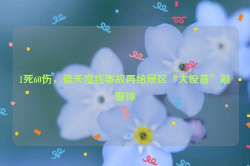 1死60伤，德天魔毯事故再给景区“大设备”敲警钟