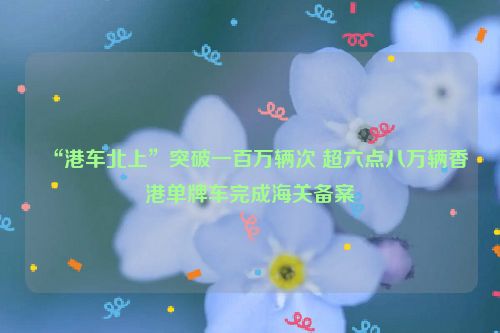 “港车北上”突破一百万辆次 超六点八万辆香港单牌车完成海关备案