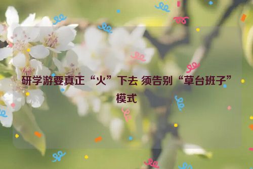 研学游要真正“火”下去 须告别“草台班子”模式