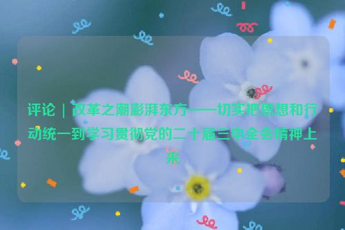 评论 | 改革之潮澎湃东方——切实把思想和行动统一到学习贯彻党的二十届三中全会精神上来