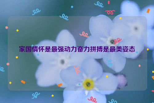 家国情怀是最强动力奋力拼搏是最美姿态