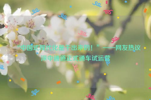 “中国式现代化是干出来的！”——网友热议深中通道正式通车试运营