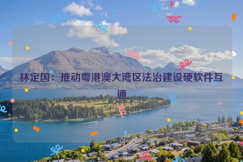 林定国：推动粤港澳大湾区法治建设硬软件互通