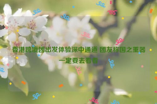 香港跨境团出发体验深中通道 团友称国之重器一定要去看看