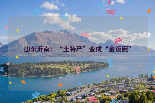 山东沂南：“土特产”变成“金饭碗”