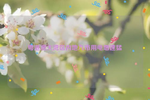 粤港澳大湾区内地九市用电增速猛