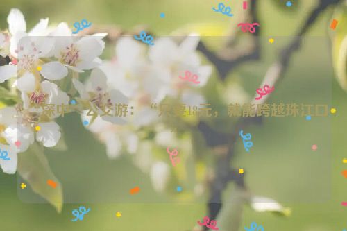 “深中”公交游：“只要18元，就能跨越珠江口”