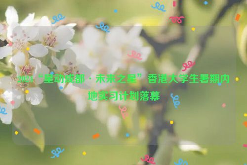 2024“星动成都·未来之星”香港大学生暑期内地实习计划落幕