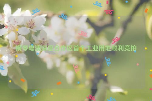 横琴粤澳深度合作区首个工业用地顺利竞拍