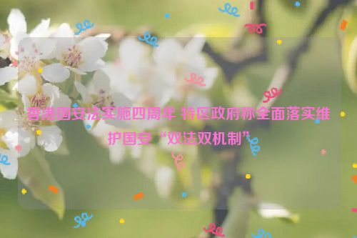 香港国安法实施四周年 特区政府称全面落实维护国安“双法双机制”
