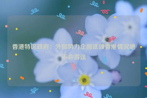 香港特区政府：外部势力企图诋毁香港情况绝不会得逞