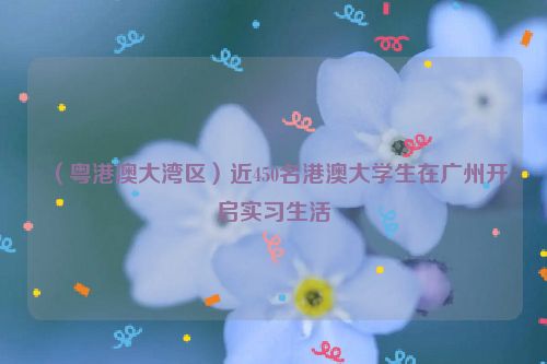 （粤港澳大湾区）近450名港澳大学生在广州开启实习生活