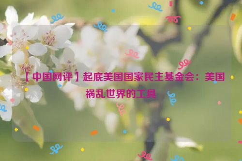【中国网评】起底美国国家民主基金会：美国祸乱世界的工具