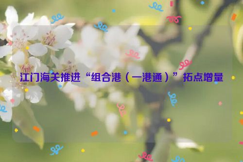 江门海关推进“组合港（一港通）”拓点增量