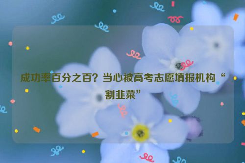 成功率百分之百？当心被高考志愿填报机构“割韭菜”