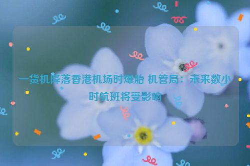 一货机降落香港机场时爆胎 机管局：未来数小时航班将受影响