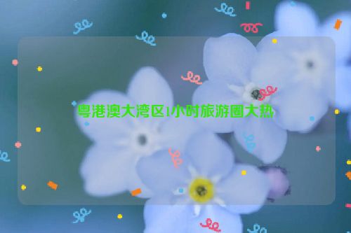 粤港澳大湾区1小时旅游圈大热