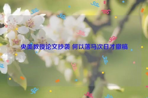 央美教授论文抄袭 何以落马次日才撤稿
