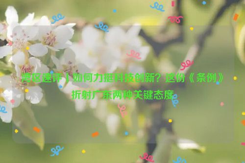 湾区速评丨如何力挺科技创新？这份《条例》折射广东两种关键态度