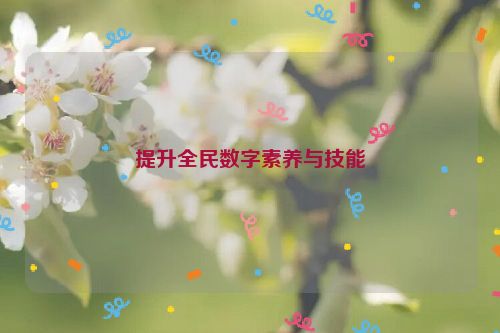 提升全民数字素养与技能