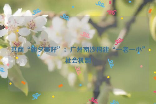 共商“朝夕美好”：广州南沙构建“一老一小”社会机制