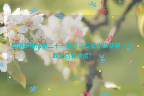 香港基本法第二十三条立法专责小组获颁“行政长官表扬榜”