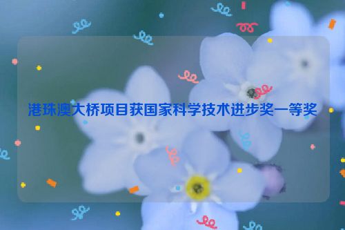 港珠澳大桥项目获国家科学技术进步奖一等奖