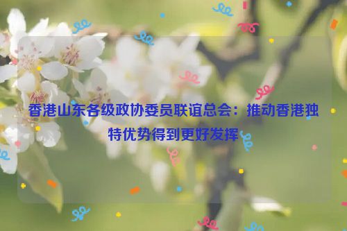 香港山东各级政协委员联谊总会：推动香港独特优势得到更好发挥