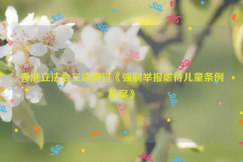 香港立法会三读通过《强制举报虐待儿童条例草案》