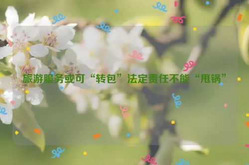 旅游服务或可“转包”法定责任不能“甩锅”