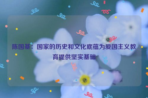 陈国基：国家的历史和文化底蕴为爱国主义教育提供坚实基础