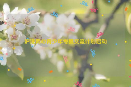 沪港同心青少年考察交流计划启动
