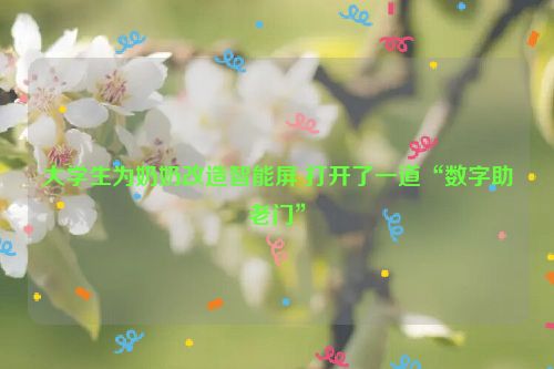 大学生为奶奶改造智能屏 打开了一道“数字助老门”