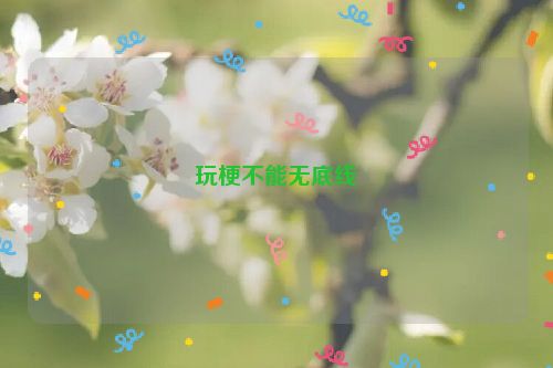 玩梗不能无底线