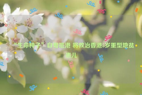 “生命种子”自粤抵港 将救治香港5岁重型地贫患儿