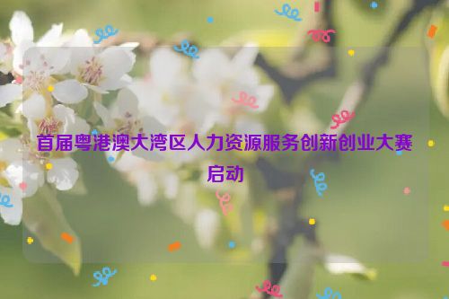 首届粤港澳大湾区人力资源服务创新创业大赛启动