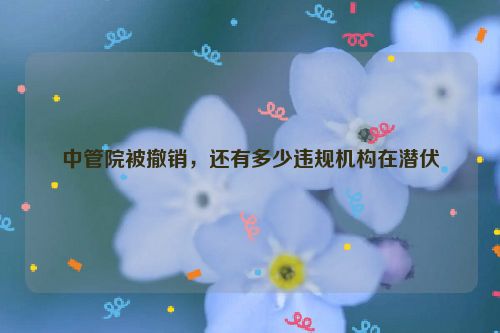 中管院被撤销，还有多少违规机构在潜伏