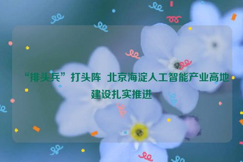 “排头兵”打头阵  北京海淀人工智能产业高地建设扎实推进