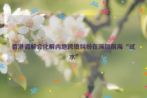 香港调解会化解内地跨境纠纷在深圳前海“试水”