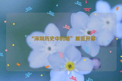 “深圳历史中的墟”展览开幕