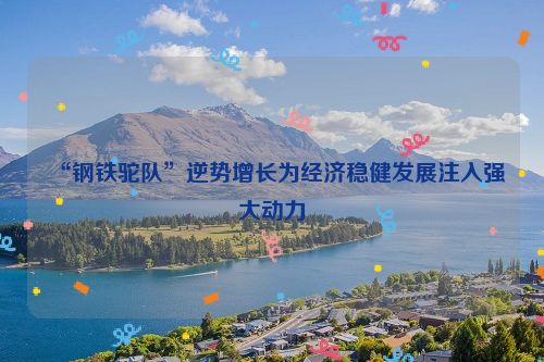 “钢铁驼队”逆势增长为经济稳健发展注入强大动力