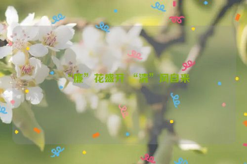 “廉”花盛开 “清”风自来