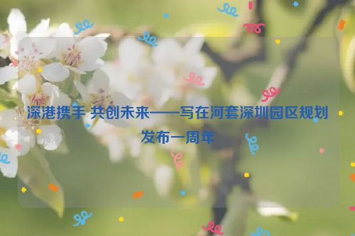 深港携手 共创未来——写在河套深圳园区规划发布一周年