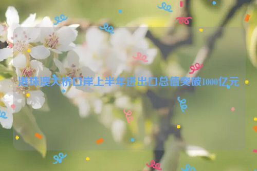 港珠澳大桥口岸上半年进出口总值突破1000亿元