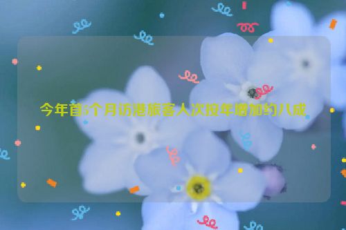 今年首5个月访港旅客人次按年增加约八成