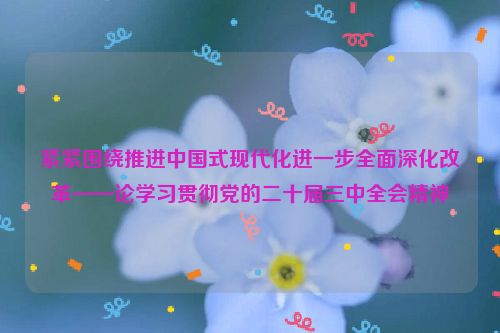 紧紧围绕推进中国式现代化进一步全面深化改革——论学习贯彻党的二十届三中全会精神
