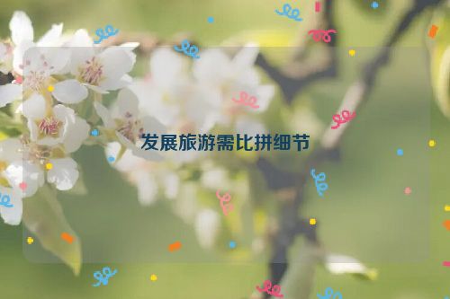 发展旅游需比拼细节